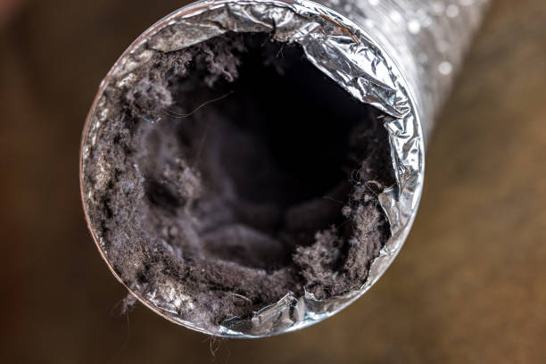 Best Residential Air Duct Cleaning  in Westgate, FL