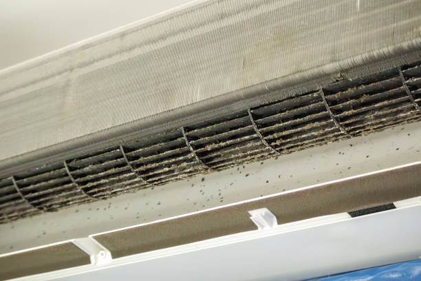 Best Dryer Vent Cleaning Services  in Westgate, FL